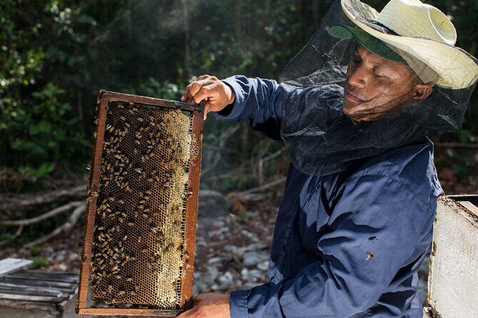 Cenote Tankah and Mayan Village Tour with Zipline, Canoes & Lunch - Final Thoughts: Who Is This Tour Perfect For?