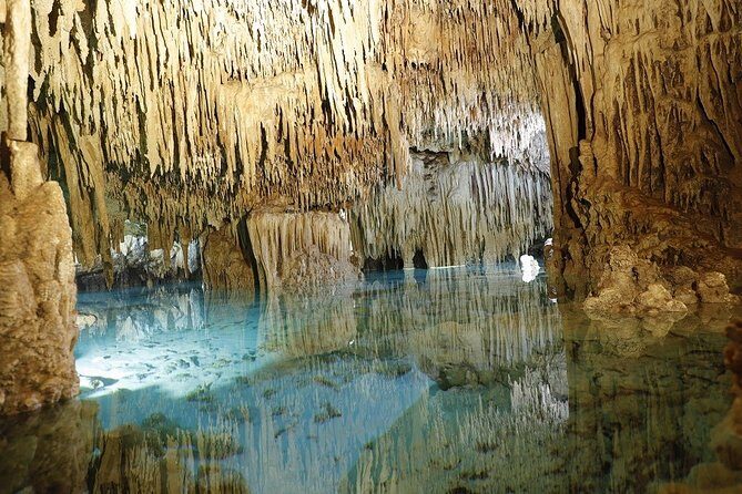 Cenotes and Paradise Lagoon - An Overview of the Tour Experience