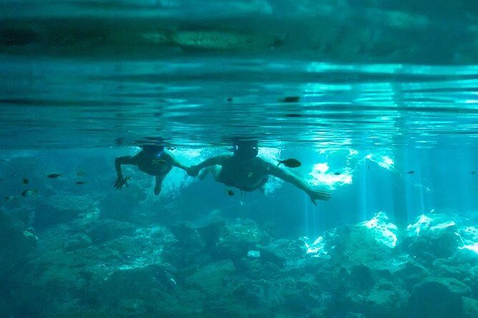Cenotes and Snorkel - A Closer Look at the Experience