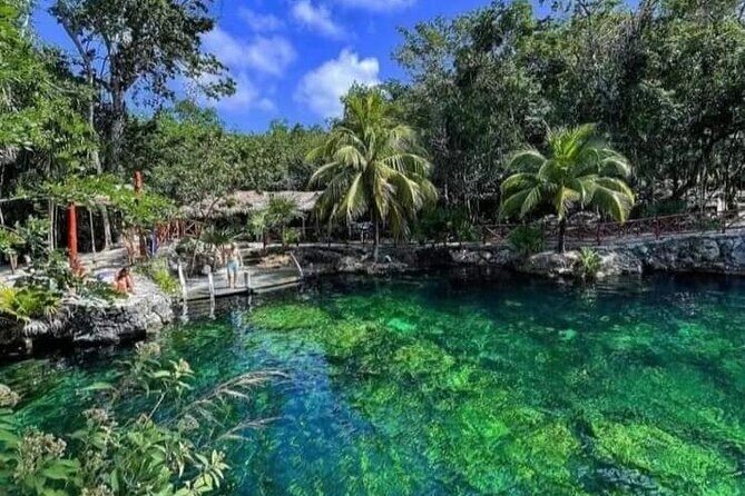 Cenotes Casa Tortuga 4 Cenotes Day Pass - Who Should Opt for This Tour?
