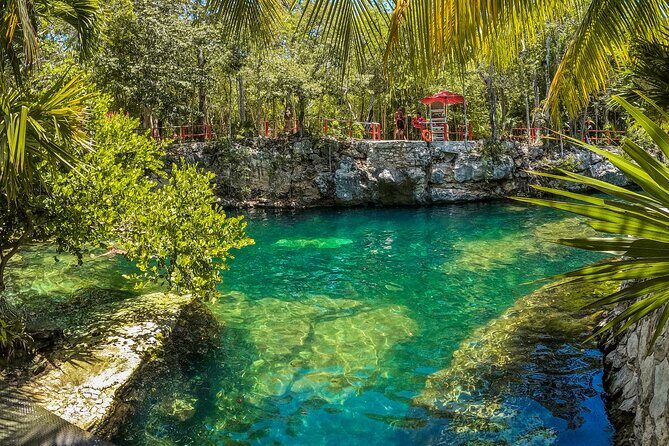 Cenotes Casa Tortuga: 4 Cenotes Day Pass + Kayak - Exploring the Cenotes Casa Tortuga Experience: A Practical Guide