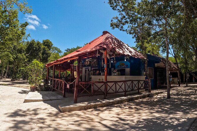 Cenotes Casa Tortuga: 4 Cenotes Day Pass + Kayak - Who Will Love This Tour?