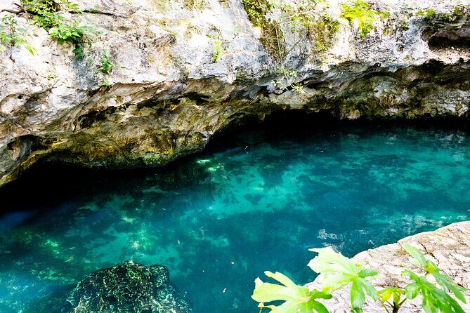 Cenotes Casa Tortuga Admission Ticket - First Impressions and What’s Included