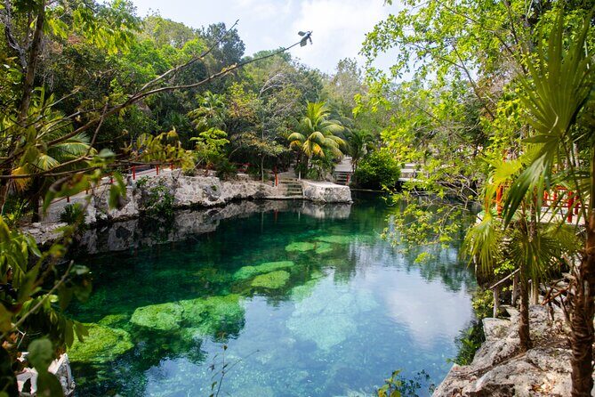 Cenotes Casa Tortuga Admission Ticket - Who Will Love This Tour?