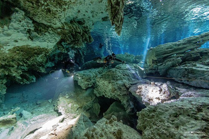 Cenotes diving Dos Ojos and The Bat Cave - An In-Depth Look at the Cenotes Adventure