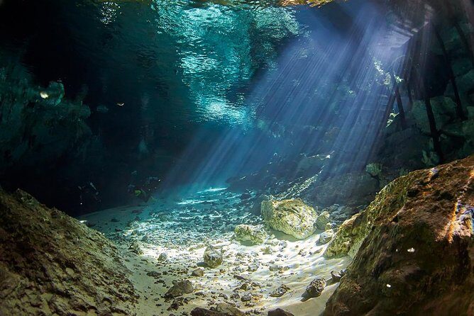 Cenotes diving from Riviera Maya - The Experience: What to Expect and Why It Matters