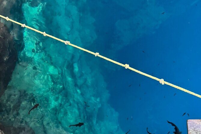 Cenotes, Pink Waters and Chichén Itzá in Tizimin Yucatán México - FAQ