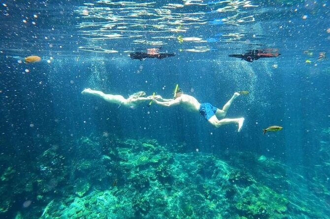 Cenotes Sacactum, Private tour, free snorkel - A Well-Balanced Itinerary
