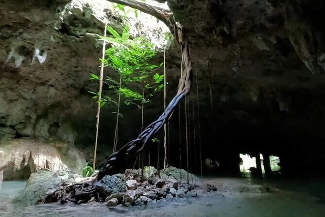Cenotes Sacactum, Private tour, free snorkel - The Sum Up: Is This Tour Right for You?