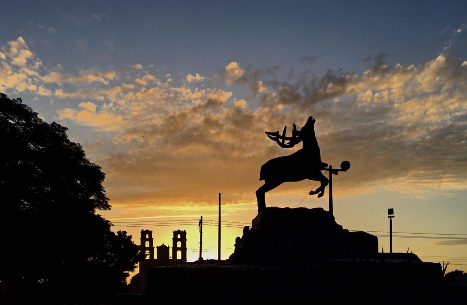 Cenotes Santa Barbara, Acanceh, and Eknakan - Cenotes Santa Barbara and Homun