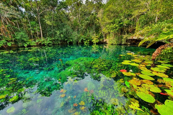Cenotes Trail Jungle Bike Tour in Tulum With Lunch - Cenotes Exploration