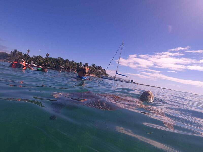 CENOTES TULUM/AKUMAL: 4 Cenotes in Mayan community and snorkeling with turtles - FAQ