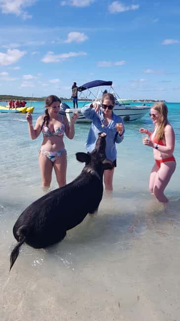 Center Console Private Bahamas Boat Charter - Key Points