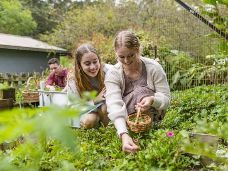 Central Coast Foraging & Mixology Workshop - Who Will Love This?