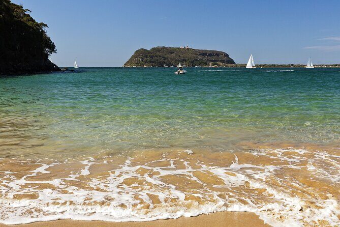 Central Coast Private Day Tour | Beaches, Bays and Wildlife & Reptile Park Entry - The Sum Up