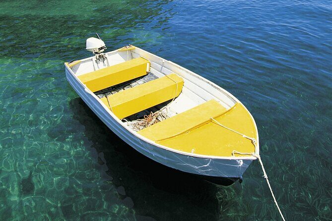 Central Coast Private Day Tour | Beaches, Bays and Wildlife & Reptile Park Entry - Frequently Asked Questions