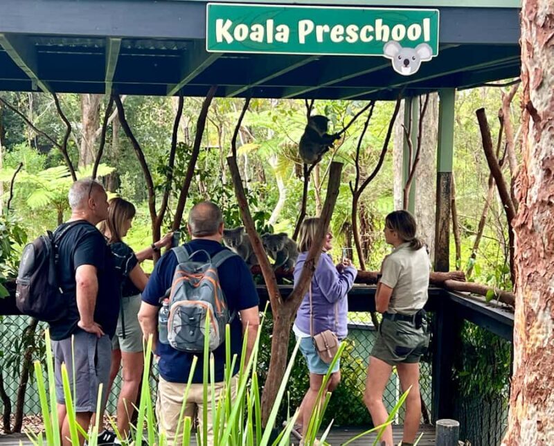 Central Coast Tour - Discovering the Central Coast: What the Tour Offers