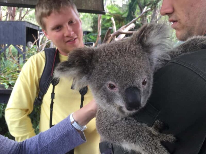 Central Coast Tour - Frequently Asked Questions