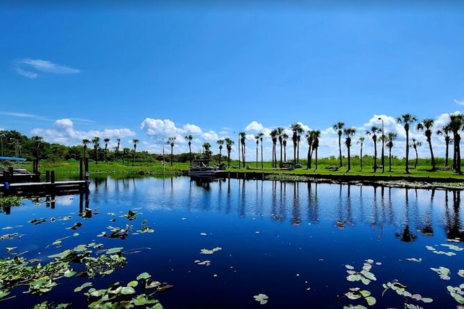 CENTRAL Florida'S BEST PRICED Eco-Friendly Airboat Rides - Seasonal Considerations and Ride Variations