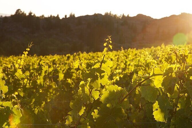 Central Otago River Loop Trail on E Bike - Frequently Asked Questions