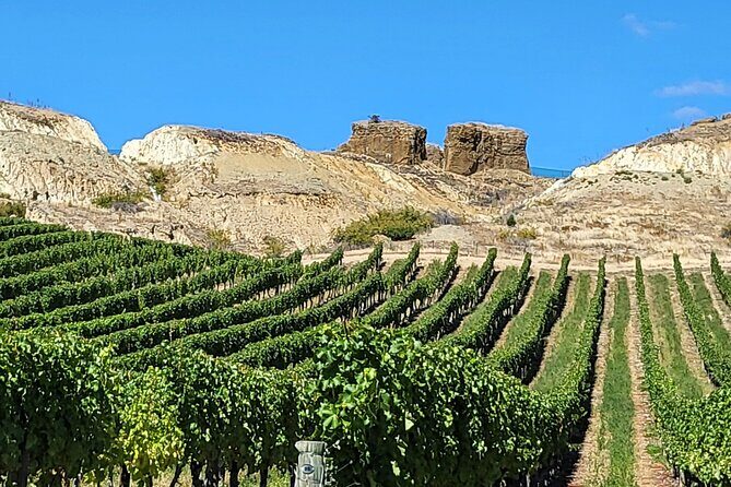 Central Otago Wine Tour Small Group, Expert Guide & Scenic Views - FAQ