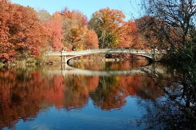 Central Park and Environs Bike Tour - Who Will Get the Most Out of It?