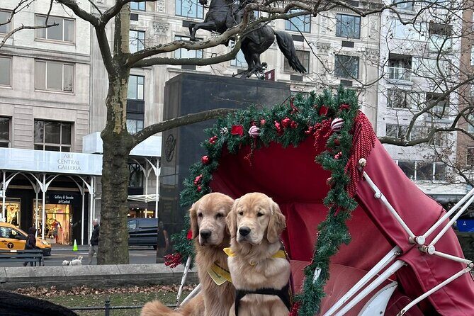 Central Park Carriage Ride NYCs Timeless Tour - Key Points