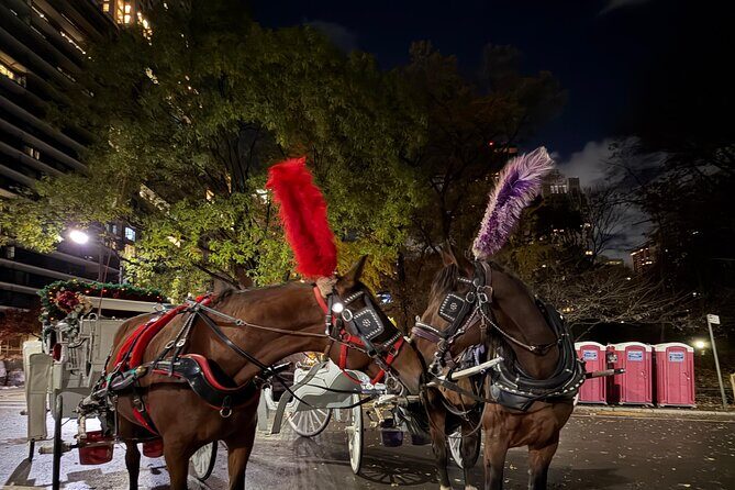 Central Park Carriage Ride NYCs Timeless Tour - FAQs