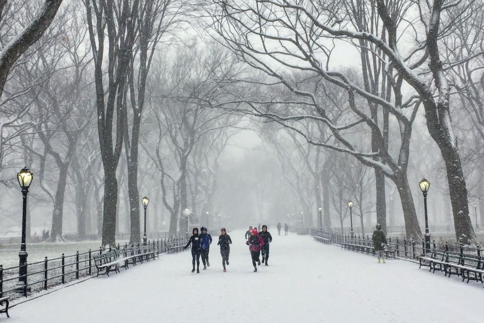 Central Park: Highlights Running Tour - Meeting Point and Directions
