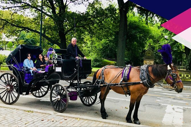 Central Park Horse and Carriage Rides - Meeting Point and Pickup Details