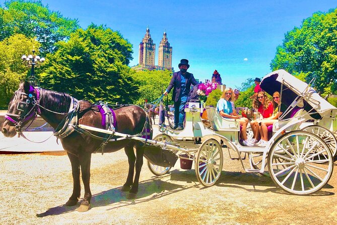 Central Park Horse and Carriage Rides - Tips for a Memorable Ride