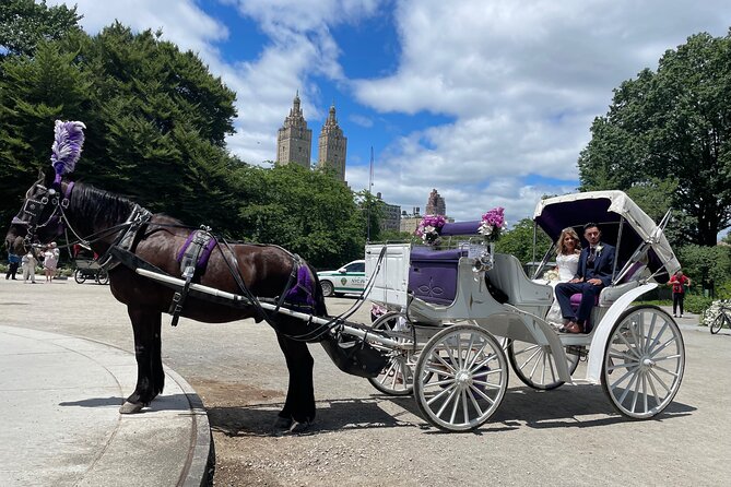 Central Park Horse Carriage Rides Since 2005 - Additional Information