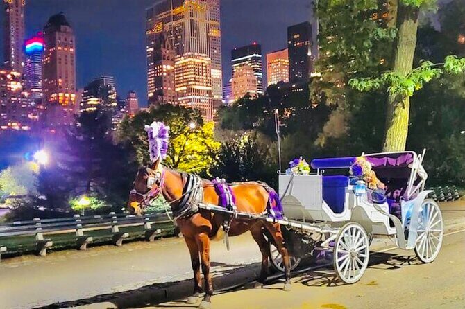 Central Park Moonlight Tour with Photo (45 min) ~ Skip the line - FAQs