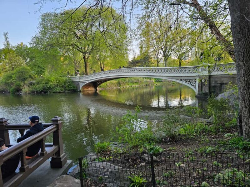 Central Park, NY: Nature, Architecture and Movie Scenes Tour - Logistics and Practicalities