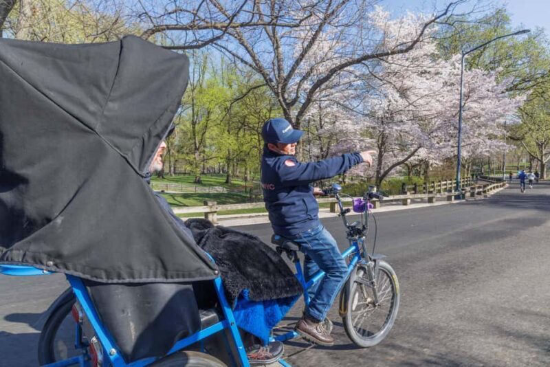 Central Park Pedicab Tour + Optional Natural History Access - A Detailed Look at the Central Park Pedicab Tour