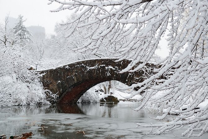 Central Park Scavenger Hunt and Highlights Self-Guided Tour - Tour Features and Accessibility