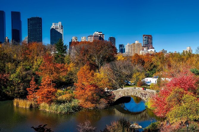 Central Park Scavenger Hunt and Highlights Self-Guided Tour - The Sum Up