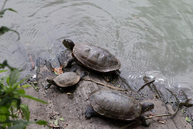Central Park Walking Tour - Frequently Asked Questions