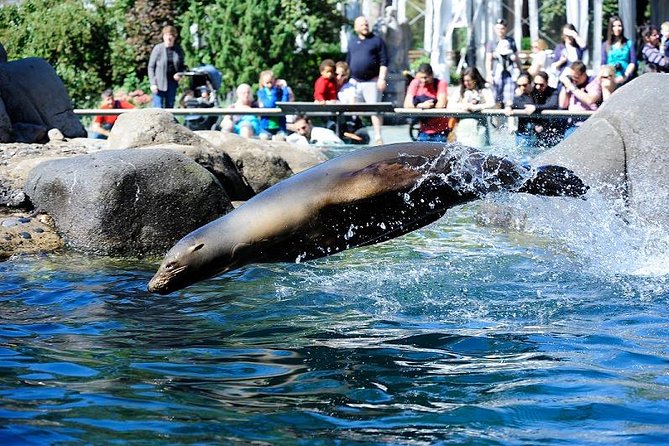 Central Park Zoo Admission Ticket With 4D Theater Access - Common Visitor Issues