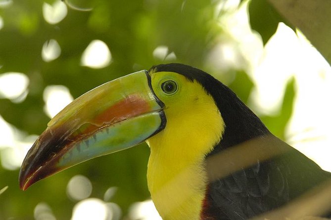 Central Park Zoo Admission Ticket With 4D Theater Access - Ticket Purchase Recommendations