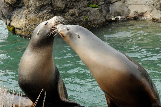 Central Park Zoo Admission Ticket With 4D Theater Access - Planning Your Visit