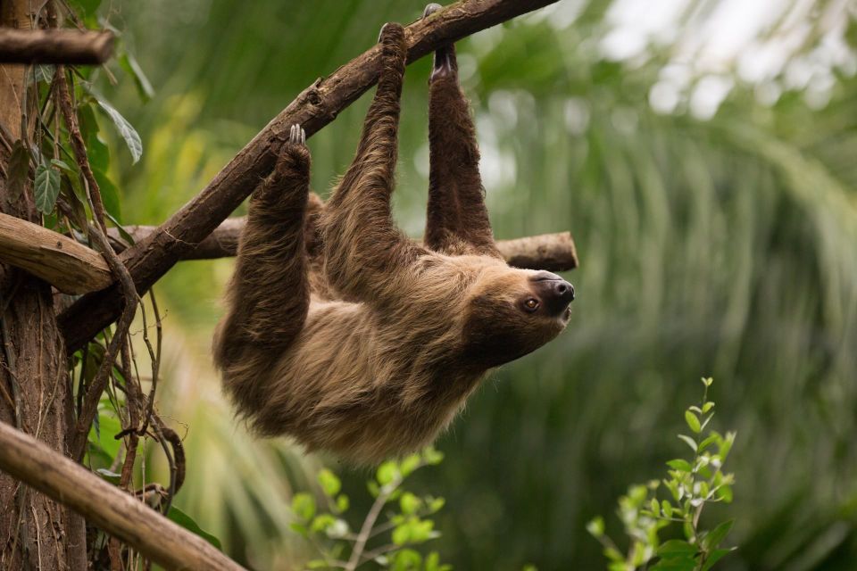Central Park Zoo Skip-the-line Tickets & Private Transfers - Tour Duration and Flexibility