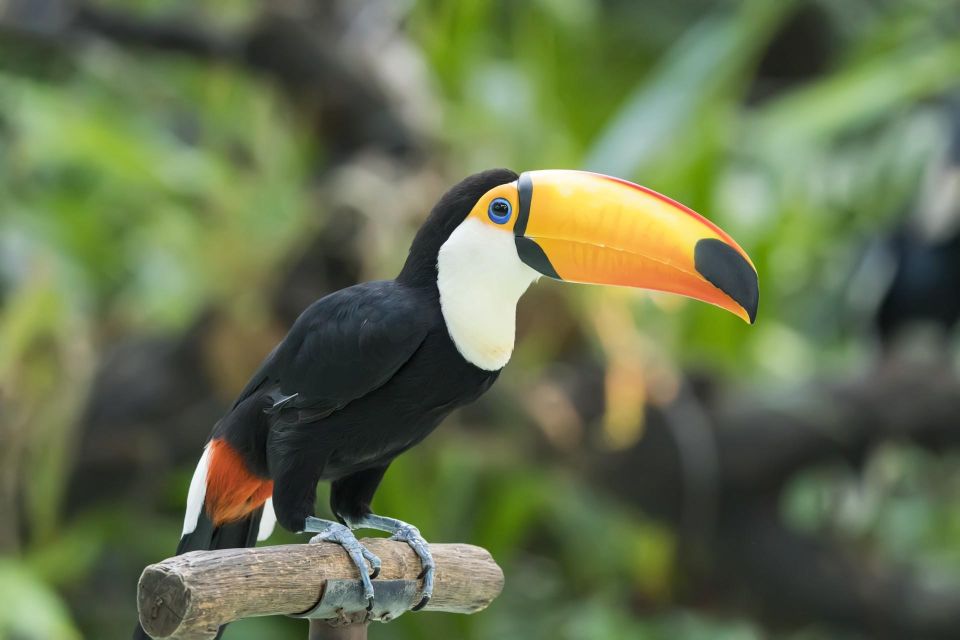 Central Park Zoo Skip-the-line Tickets & Private Transfers - Visit Highlights