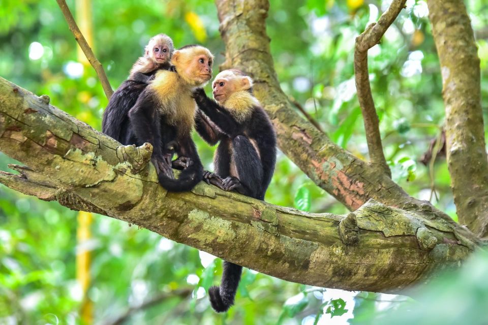 Central Park Zoo Skip-the-line Tickets & Private Transfers - Animal Habitats and Exhibits