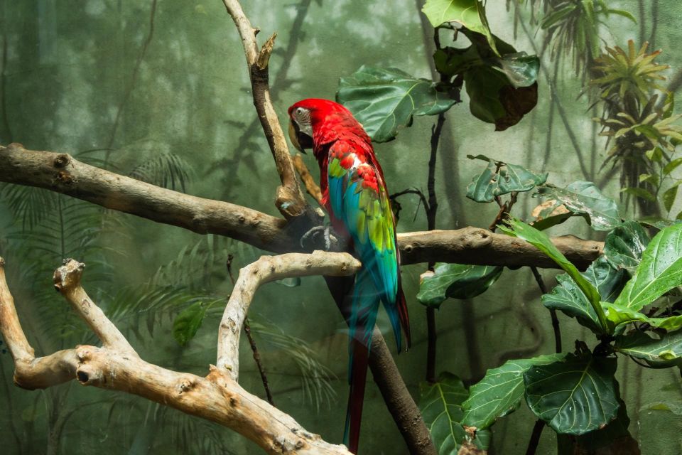 Central Park Zoo Skip-the-line Tickets & Private Transfers - Booking and Cancellation Policy