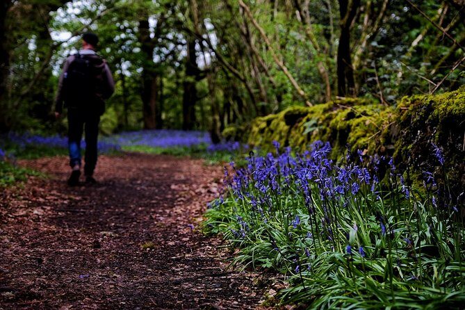 Central Scotland Driving Tour - Stirlingshire (Private) - FAQ