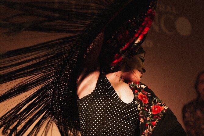 Centro Cultural Flamenco Madrid Admission Ticket - A Closer Look at the Experience