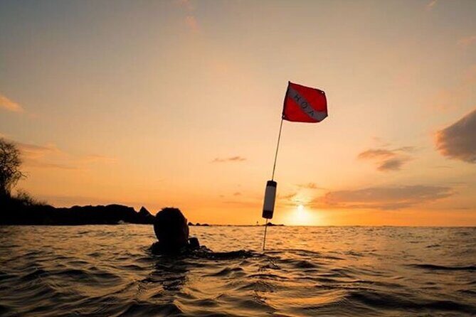 Certified Beach Night Dive - Key Points