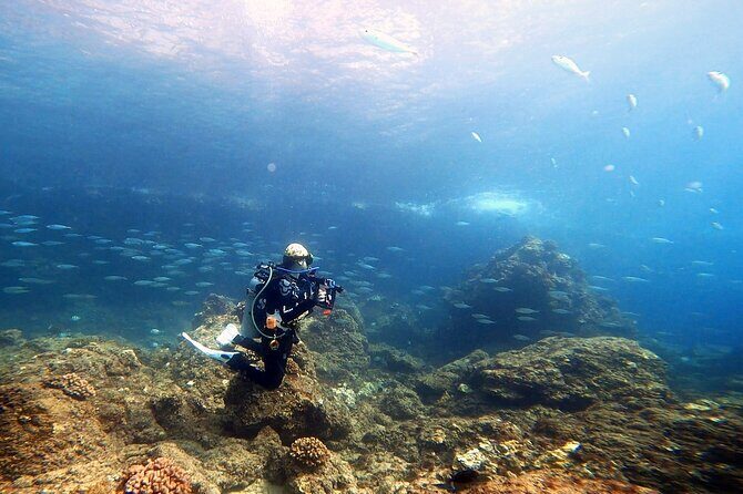 Certified Divers! Scuba dive the Ka'anapali Coast and more! - The Sum Up