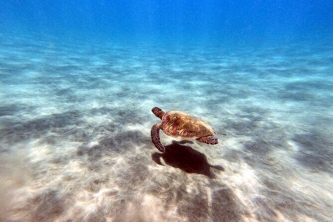 Certified Divers! Scuba dive the Ka'anapali Coast and more! - Frequently Asked Questions